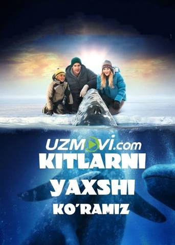 Kitlarni yaxshi ko'ramiz