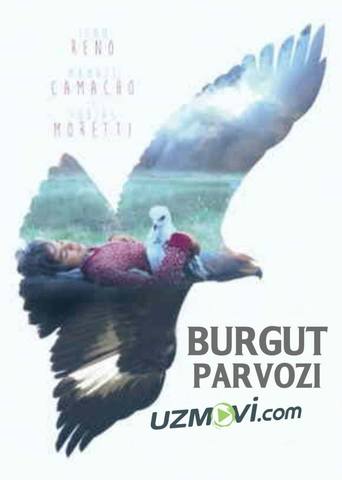 Burgut parvozi